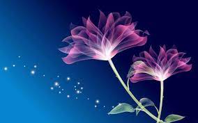 Fairy Dust Flower Desktop Wallpaper Abstract Flowers Flower Pictures