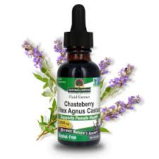 Image result for Chasteberry