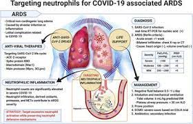 The term novel coronavirus simply means that this is a new common symptoms included fever, body aches, tiredness, and difficulty breathing caused by pneumonia (lung infection). Frontiers Targeting Neutrophils To Treat Acute Respiratory Distress Syndrome In Coronavirus Disease Pharmacology