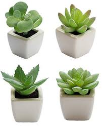 Pin By Country Clothes For Women On Cvety V Interere In 2020 Artificial Succulent Plants Succulents Planting Succulents