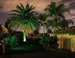 Bliss Lights Projecting On Palm Tress In This Example The Blisslights Spright Green Is Used Outdoor Landscape Lighting Blisslights Landscape Lighting