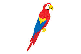 Parrot | free svg image in public domain. Realistic Parrot Svg Cut File By Creative Fabrica Crafts Creative Fabrica