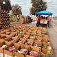 Arvin Food Distribution event image