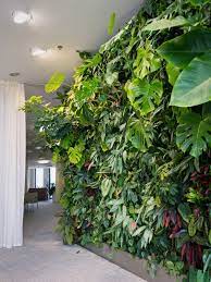 Easy to maintain and pretty good to look at. Plants For An Indoor Wall Houseplants For Indoor Vertical Gardens