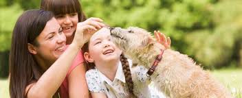 For example, angelscare pet sitting charges $50 per night for overnight services. Compare 2021 Average Costs To Hire A Pet Sitter Vs Boarding Your Pet Pros Versus Cons Of Boarding Or Hiring A Pet Sitter Price Comparison