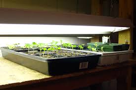 According to moreno, peppers, salad greens, carrots, beans, and onions are all great to grow you can also use your indoor garden to start crops that you eventually will transplant outside when the weather warms. How To Start Your Garden Indoors On The Cheap Pennlive Com
