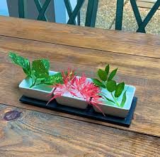 We did not find results for: Watkins Flowers Of Distinction Watkinsflowers Twitter