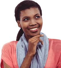 Africanized Honey Bee PNGs