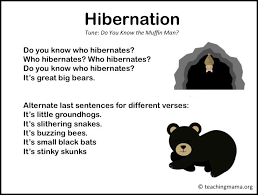 Winter Songs For Preschoolers Hibernation Preschool Activities Hibernation Activities Preschool Songs