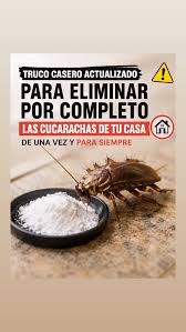 😱Las cucarachas no aparecen “porque sí”… casi siempre hay una señal en  casa que las está llamando sin que te des cuenta., ⬇️Lo más curioso es que  muchas personas se enfocan en espantarlas, pero ...