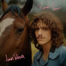 Rocco Posca: album, låtar, konserter