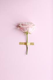 Colourful Content Creation And Floral Photography By Marianne Taylor Flowerphotography Flower Pink Pastel Pink Aesthetic Pink Aesthetic Pink Wallpaper