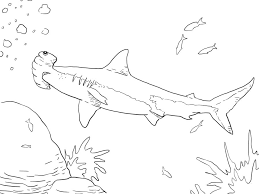 Download this fun coloring page of hammerhead sharks for free at dover publishing. Coloring Pages Coloring Pages Hammerhead Shark Printable For Kids Adults Free