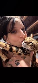 UPDATE: December 26,2024 Big Cat Rescue continues to fund the lifetime care  of the cats in Arkansas as well as funding conservation work to save cats  in the wild. BigCatRescue.org shows all