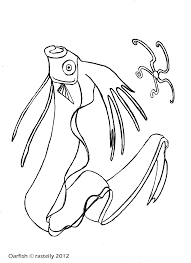 Can you believe there are animals the size of a school bus living in the ocean today? Colossal Squid Coloring Pages