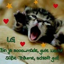 6 lustige guten abend bilder. Guten Abend Bilder Kostenlos Bilder Und Spruche Fur Whatsapp Und Facebook Kostenlos