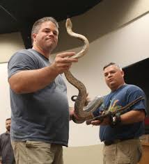 This pest control program will typically treat the snakes main food source. Sssinuous Friends Snakes Help Humans By Devouring Disease Carrying Rodents