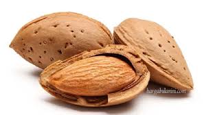 Menjaga kesehatan sistem pencernaan memenuhi asupan serat dan nutrisi yang dibutuhkan tubuh Harga Kacang Almond Terbaru Agustus 2021 Hargabulanini Com