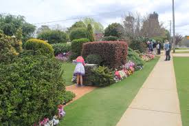 Pin On Garden Shows