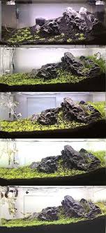 48cm Tank 1st Scape Presnovodnyj Akvarium Akvarium I Terrarium