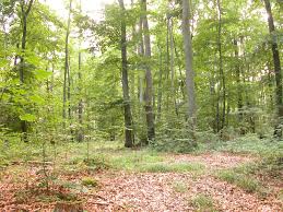 3 3 Terrestrial Biomes Environmental Biology