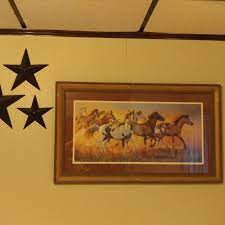 It is used to treat infections of some parasites. Find More Home Interior Horse Pic And 3 Metal Stars Final Reduction For Sale At Up To 90 Off