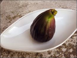 Oldcook Fruits En Europe Moyen Age Renaissance