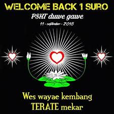 Koleksi gambar hd, wallpaper keren, dan gambar keren. 14 Ide Psht Seni Bela Diri Pencak Silat Bunga Teratai