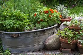 Den grundstein für eine gute ernte legt man schon beim pflanzen. Gartentechnik De