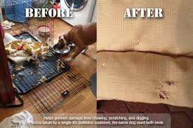 No matter how hard the dog tries, they should not be able to leave. Chew Proof Dog Beds Webnuggetz Com Webnuggetz Com
