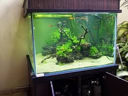 Sebagai associate amazon, kita dapati dari pembelian yang layak. Desain Aquarium Air Tawar Model Terbaik Harga Murah Hingga Sekarang