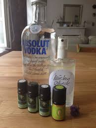 Mit mückenspray und der mosquito proof kollektion geschützt vor mücken. Naturlicher Muckenschutz Mit Atherischen Olen Aroma 1x1