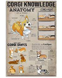 Corgi Knowledge Dogs Unframed Wrapped Frame Canvas Wall Decor Dog Animal Poster Inktee Store In 2021 Animal Posters Corgi Dog Poster