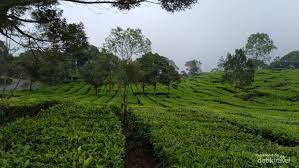 Check spelling or type a new query. Usaha Agraris Di Indonesia Ini Cakupan Penjelasan Dan Contoh Hasilnya