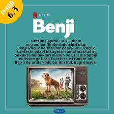 Kopek Filmleri Afacan Ve Insan Dostu Kopeklerin Imdb Puani Yuksek En Iyi 15 Filmi