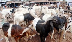 Check spelling or type a new query. Sallah Celebrating Under Economic Strain Vanguard News
