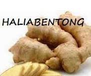 Khasiat halia seterusnya adalah bagi membuang angin & toksin di dalam badan. Mari Kenali Jenis Halia Halia Bentong Halia Malaysia
