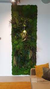 moswand mos wand muur plant verticale tuinen