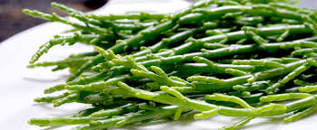 Image result for Asparagus richardsiae