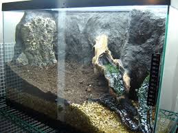 Clay Background Method Hardscape Build Thread Reptile Tank Frog Terrarium Hermit Crab Tank