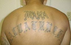 About 0% of these are tattoo sticker. Criminal Tattoo Wikipedia