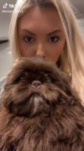 Fern Harden's Instagram, Twitter & Facebook