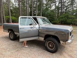 Image result for Alaska White (Pearl) 1959 Dodge Truck