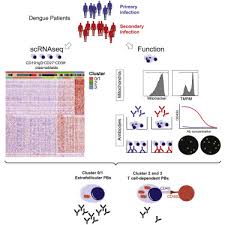 Democracy and education by john dewey, the pennsylvania state university, electronic classics. Cd27hicd38hi Plasmablasts Are Activated B Cells Of Mixed Origin With Distinct Function Sciencedirect