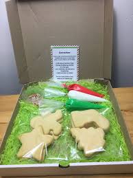 Christmas Diy Cookie Kit Set Royal Icing Sugar Cookie Halloween Cookies Decorated Cookie Decorating Kits Cookie Decorating