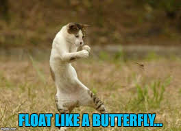 Maybe you would like to learn more about one of these? Friday Dance Memes Imgflip