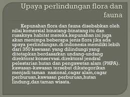 Tinggi rendah dari permukaan laut 2. Keanekaragaman Flora Dan Fauna Ppt Download