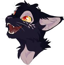Owlspark By Meow286 Furry Cat Head Drawing Png Download Transparent Png Image In 2020 Cat Furry Warrior Cat Drawings Warrior Cats Fan Art