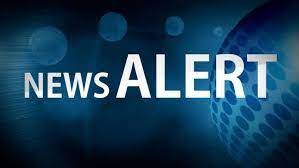 Find the latest champignon brands inc. Champignon Brands Announces Filing Of Listing Statement Stock Market Insights Technical Analysis Live Market Data