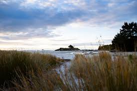 The Reef: Shadows of Doubt - New Zealand Surf Journal